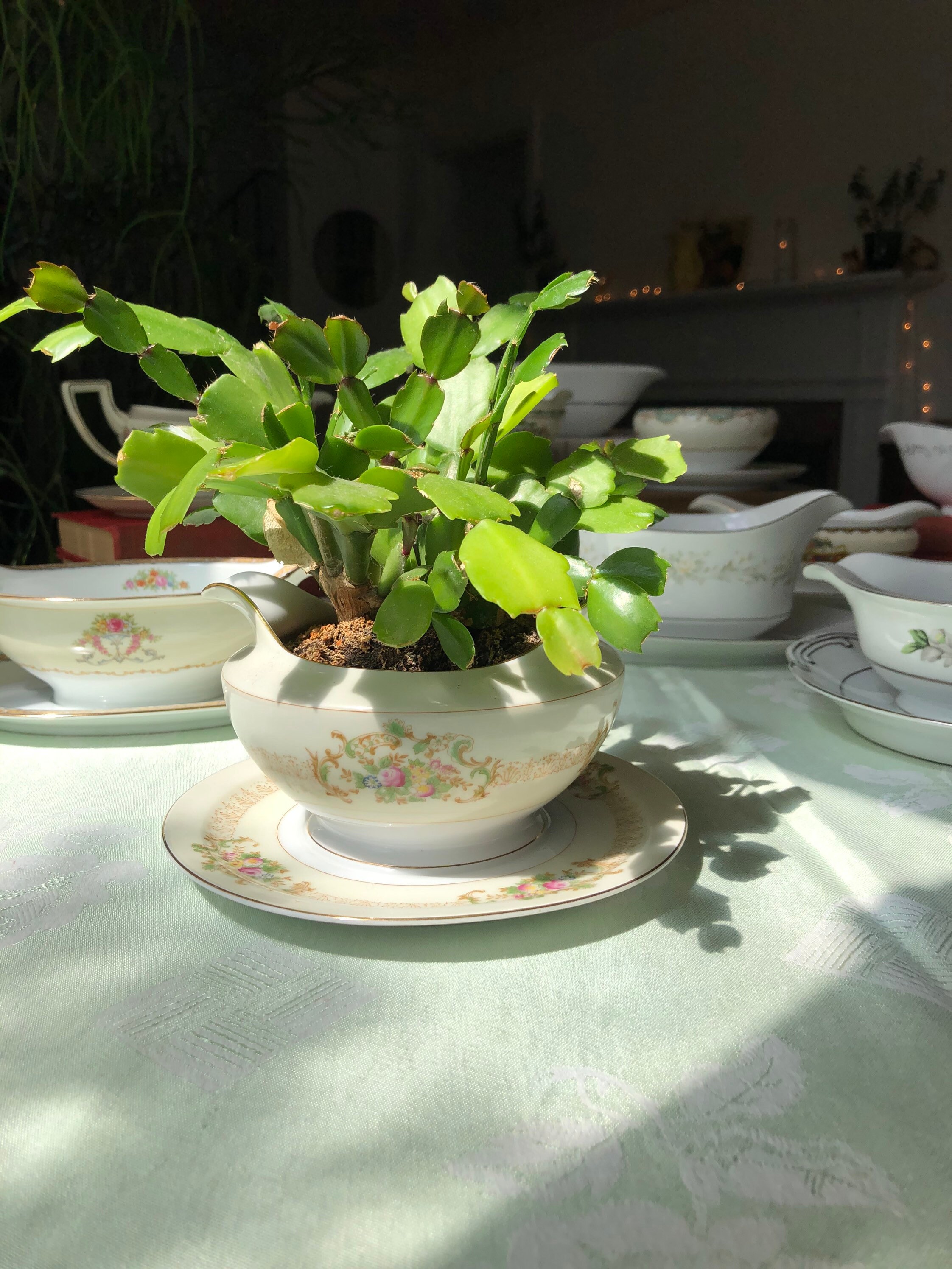 Vintage Gravy Boat Planters Repurpose Vintage China Gravy Etsy