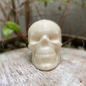 May include: A white ceramic skull figurine. The skull has a detailed face with eye sockets, a nose, and a mouth.