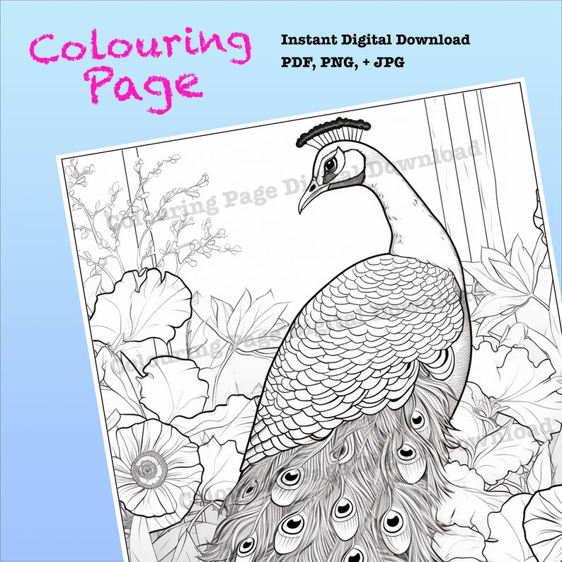 Peacock Bird Printable Colouring Page Digital Download - Etsy
