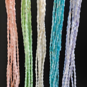 Può includere: Cinque fili di perline, ognuna di un colore diverso. Le perline sono fatte di conchiglia e hanno la forma di piccoli cilindri. I colori sono rosa, verde, bianco, blu e viola.