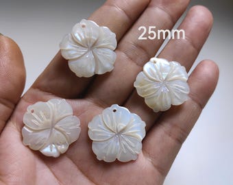 Conchiglie Fossili Di Saint-Jacques - Francia - FSS-27 - Foto 13