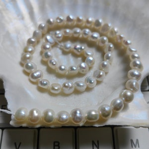May include: A strand of white freshwater pearls, with a slightly irregular shape, arranged in a circle on a white seashell. The pearls are strung on a thin white thread.