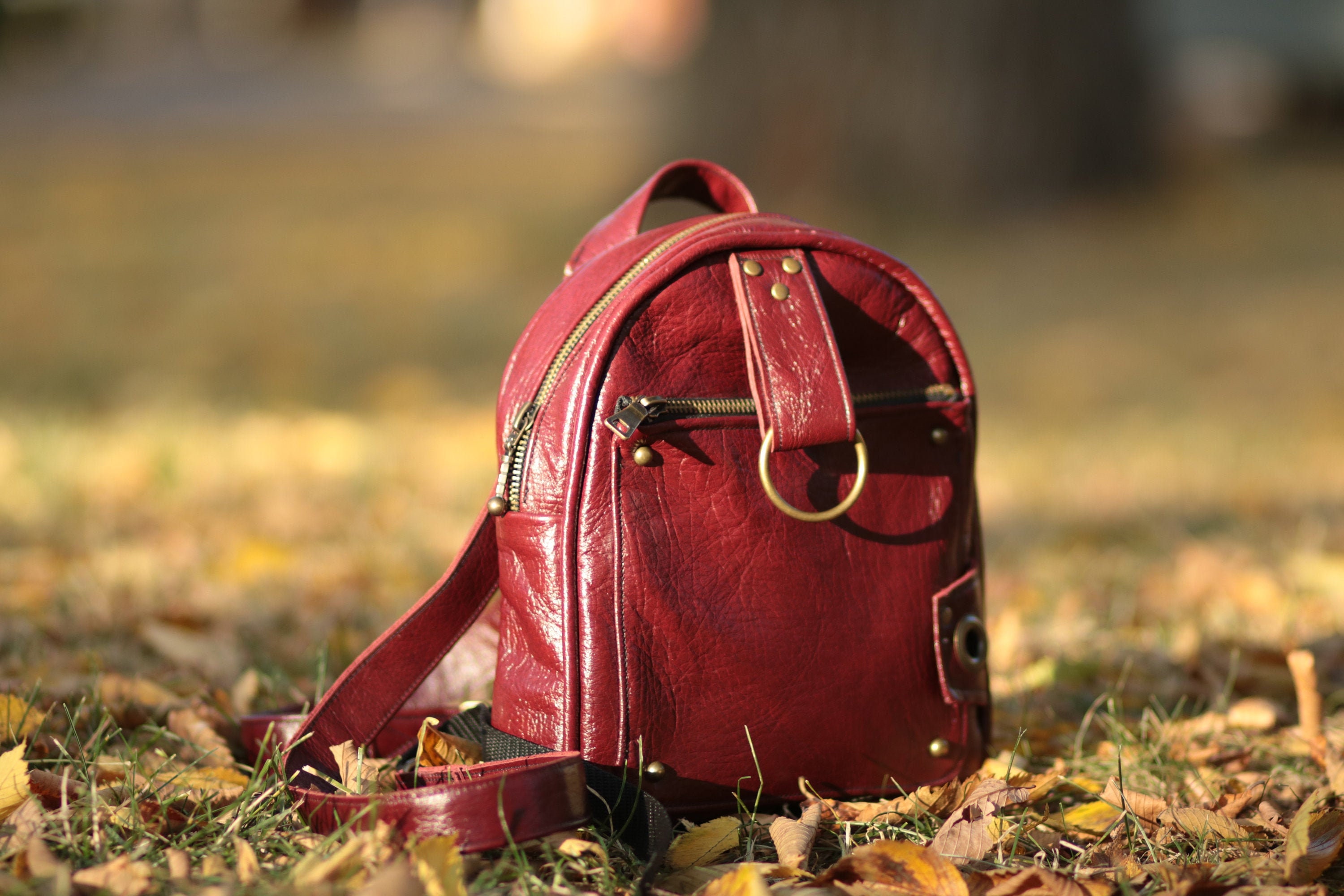 Coach Mini Backpack - Etsy