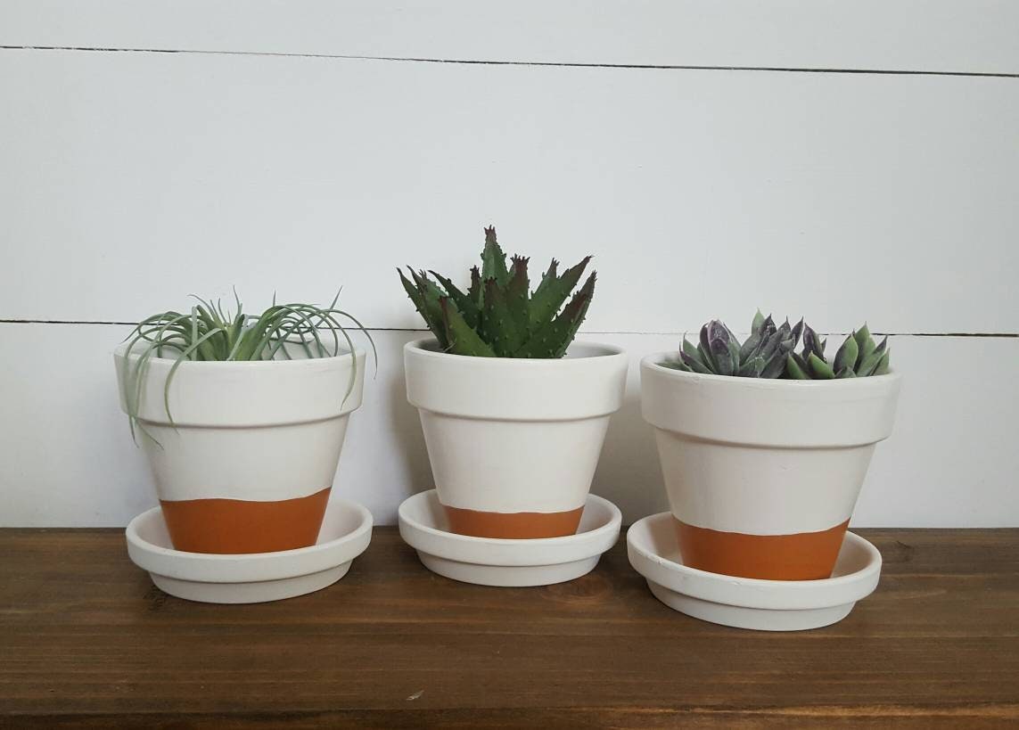 Set of 3 Herb Planters Herb Pots Succulent Planters Etsy