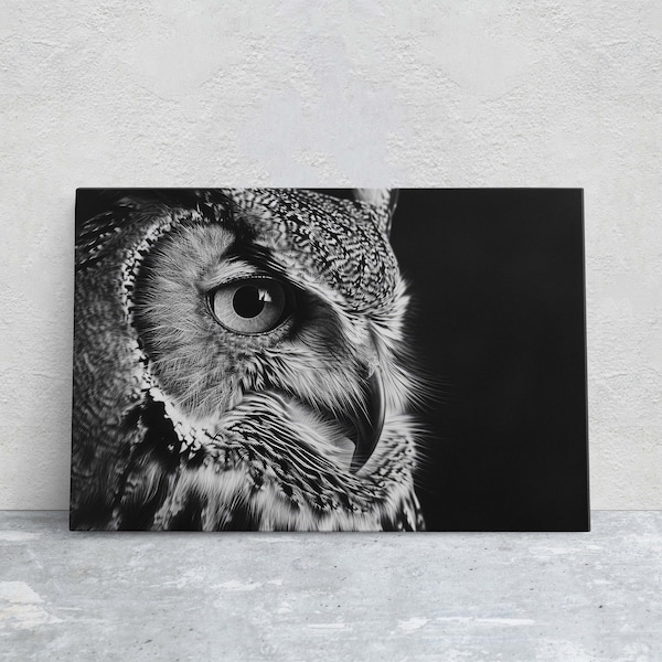 Black and White Owl, Owl Picture, Cabin Decor, Mountain Home Art, Framed Canvas, Owl Painting, Neutral Color, Bird Photo, Owl Photography