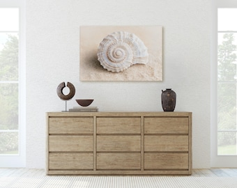Spiral Seashell on Sand Canvas Print, Minimalist Coastal Macro Photography