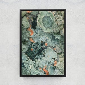 May include: A rectangular wall art piece in a thin black frame featuring a high-angle, detailed macro photograph of various textures of green and grey lichen and moss, interspersed with small patches of vibrant orange growth throughout.