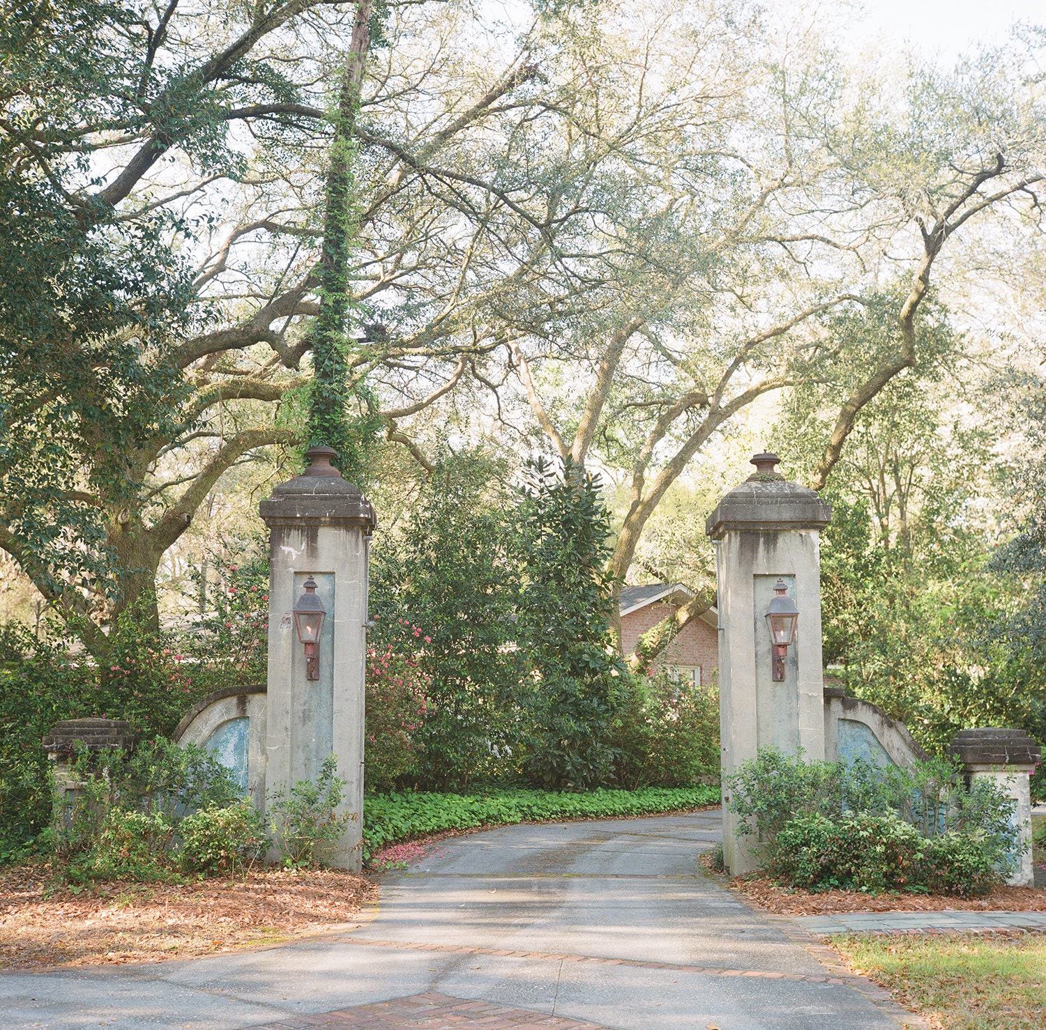 Summerville South Carolina Photo Art Etsy