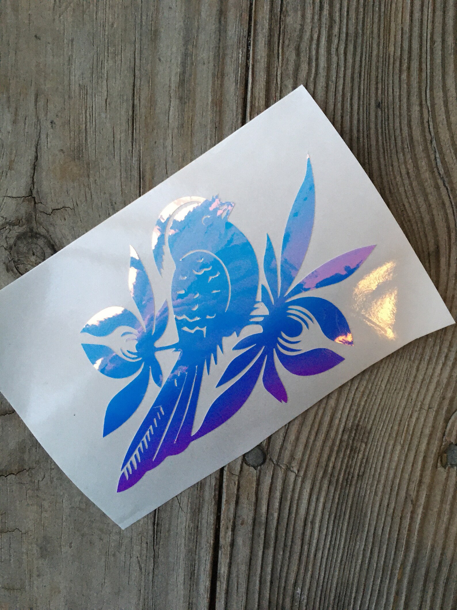 Bayside Bird Vinyl Decalbayside bandholographic Etsy