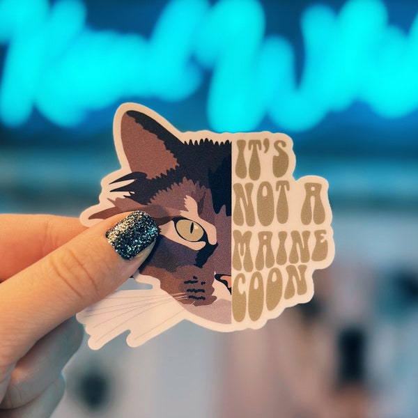 Domestic Shorthair Etsy