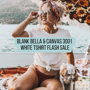 BLANK Unisex White Jersey Tshirt, Bella and Canvas 3001C
