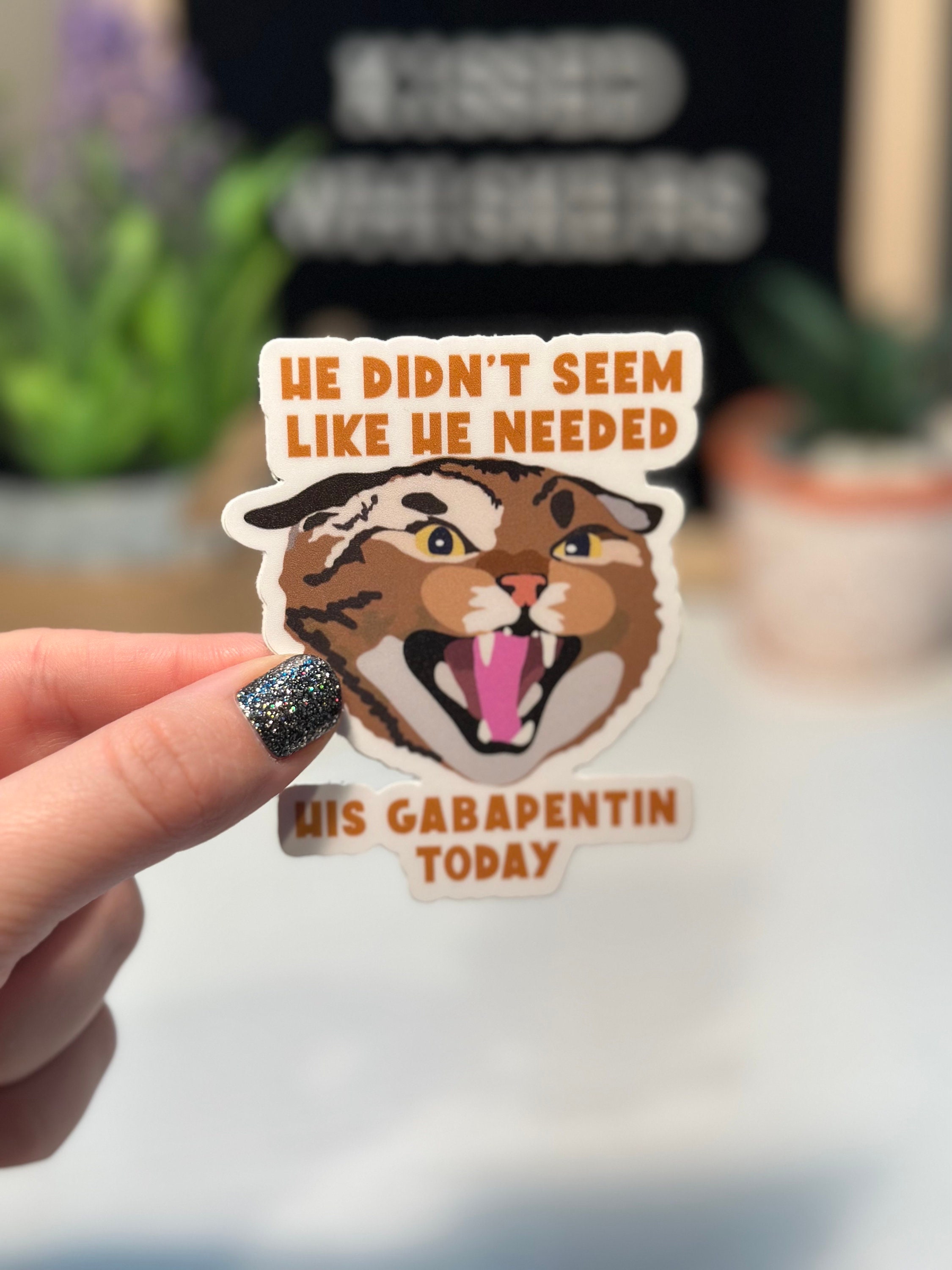 gabapentin in veterinary medicine