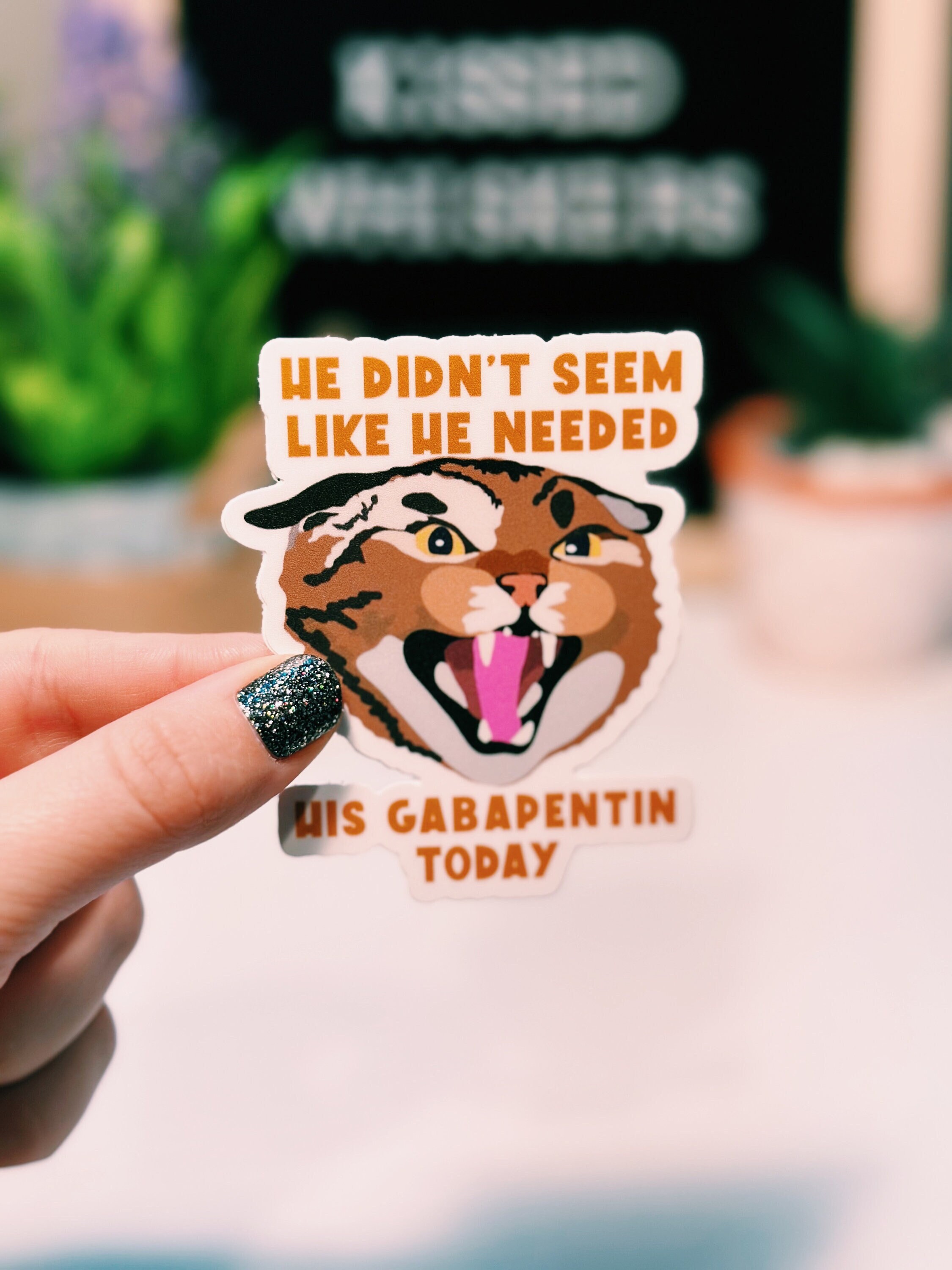 gabapentin cat diarrhea