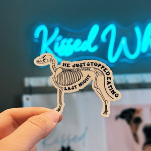 Vet Tech Week Gifts | Vet Med Stickers | Vet Tech Stickers | Veterinary Stickers | Vet Stickers