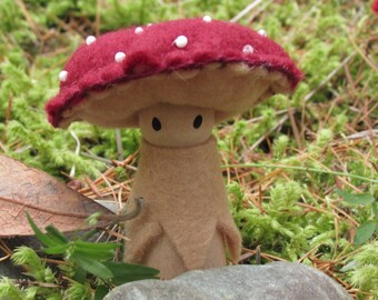 baby amanita mushroom