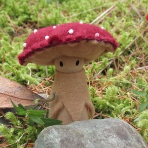 baby amanita mushroom