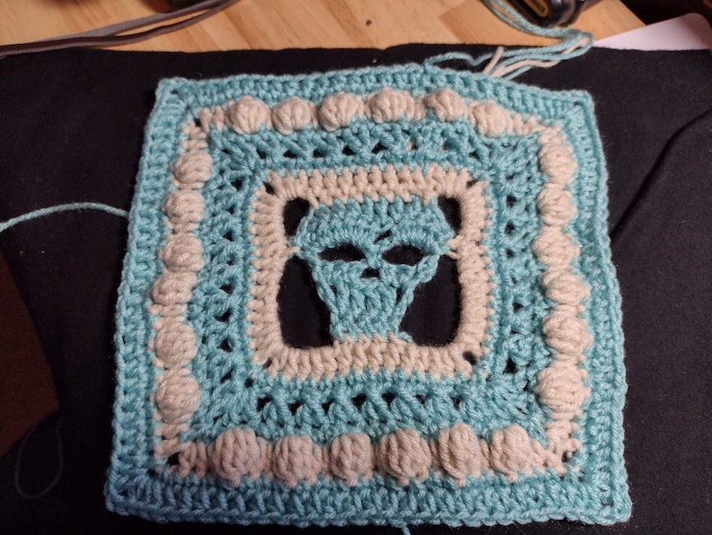 May include: A crocheted square with a skull design in the center. The square is made with light blue and white yarn and has a raised border.