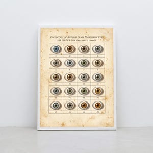 May include: A rectangular print titled Collection of Antique Glass Prosthetic Eyes by A.M. Smith & Son, Opticians - London. It features a grid of twenty numbered illustrations of human eyes in various shades of blue, green, and brown on aged paper.