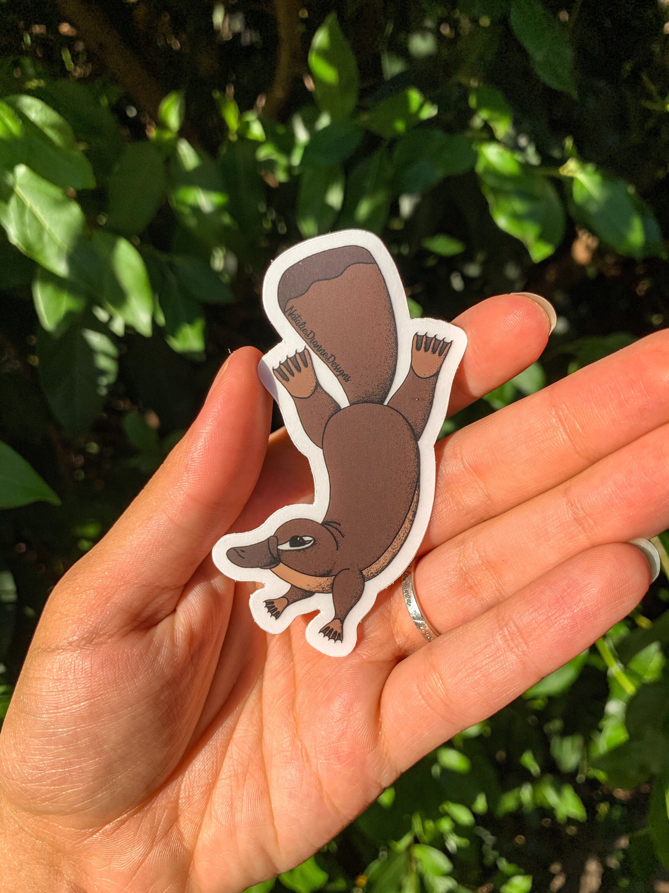 Platypus Vinyl Sticker Etsy Australia