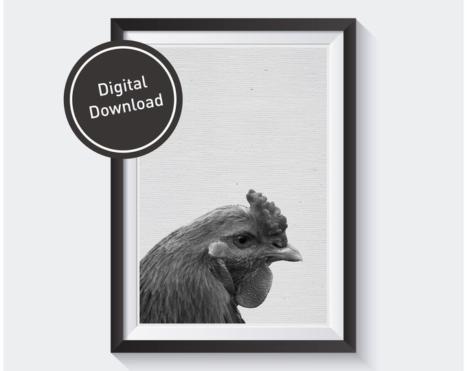 Chicken Print, Rooster Home Decor, Farm Animal Wall Art in Black and White Poster