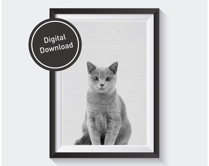 Cat Print, Pet Kitty Owner Home Decor, Kitten Animal Wall Art Gift in Black and White Poster