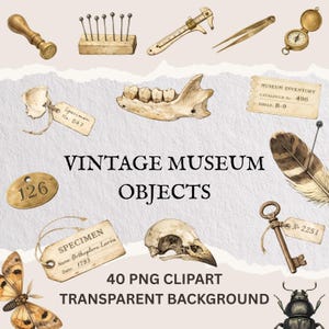 May include: Watercolor illustration of vintage museum objects, including a seal, a block with pins, a caliper, tweezers, a compass, bone fragments, a feather, a key, and specimen tags. The text reads "VINTAGE MUSEUM OBJECTS" and "40 PNG CLIPART TRANSPARENT BACKGROUND."