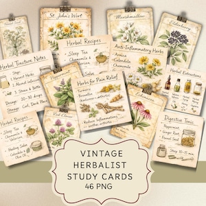 Herbarium Study Cards Clipart, Vintage Apothecary Botanical PNG Bundle, Junk Journal and Scrapbooking Ephemera