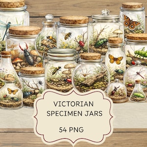 Victorian Specimen Jars Clipart, Watercolor Natural History Terrariums (54 PNG)