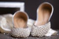 Pearl Wedding Shoes: Silver Bridal Shoes for women with Rhinestone Detail product logo