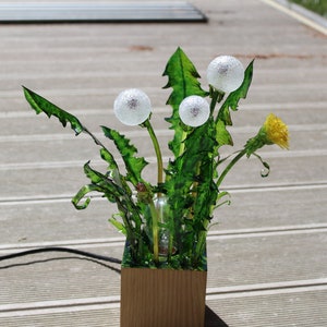 Table Lamp blowball Taraxacum , dandelion night lamp, Deco object, lamp in the form of almost real dandelions