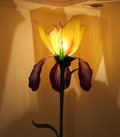 Floor Lamp Yellow Lilac Lamp Minimalist lighting Violet Lamp light Orange  Interior Lighting Sculpture Lamp Shade Art Craft Lamp Soft light