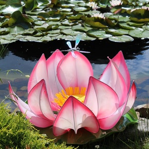 May include: A large pink and white lotus flower with a yellow center sits on a green leaf in a pond. A dragonfly with blue wings is perched on the flower.