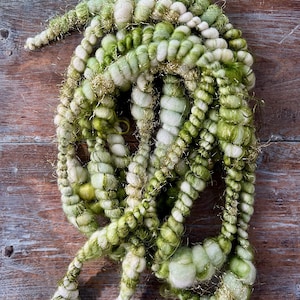 May include: Close-up of a skein of hand-spun yarn in shades of green and white, with gold metallic accents. The yarn is thick and textured, with a variety of knots and twists. The yarn is likely used for knitting or other fiber arts projects.