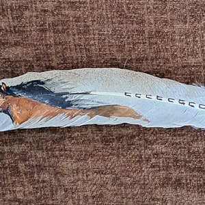 Feather, Painted Feather, Horse, by Patricia Carroll Sailors
