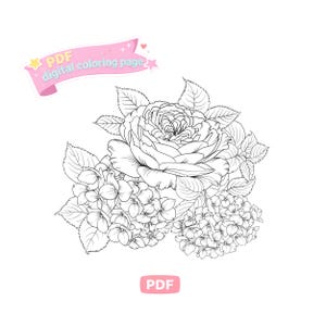 Digitale pdf rozen hortensia kleurboekpagina