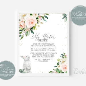 Bunny Rabbit Baby Shower My Water Broke Sign, Easter Baby Shower, Frozen Baby Game, Ice Cube Baby Shower Game, My Water Broke Sign, 315