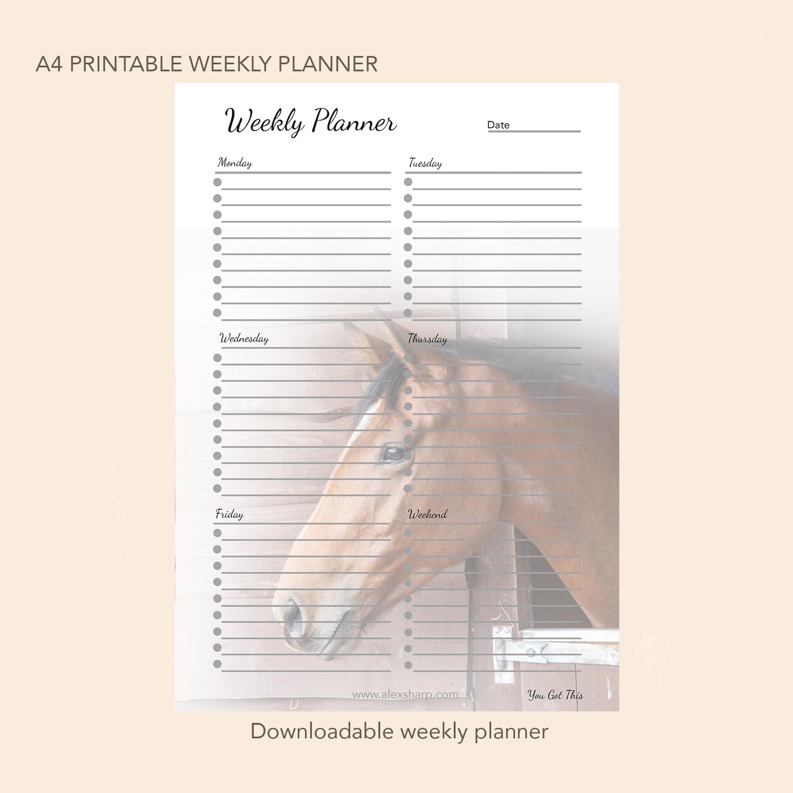 Horse Weekly Planner: A4 Printable Schedule (digital Download) - Etsy