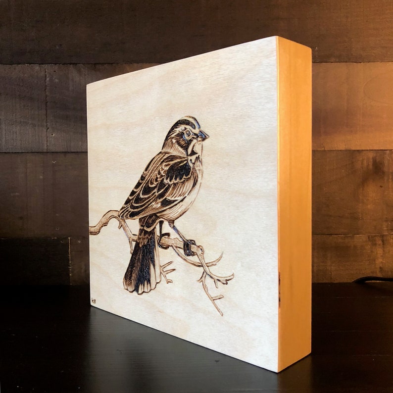 8x8 Wood-burned Lark Sparrow Bird Art on Wood Rustic Bird Art Gift for Birders Vintage Ornithology