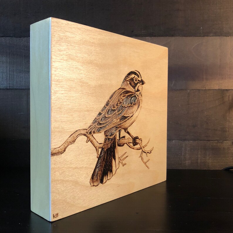 8x8 Wood-burned Lark Sparrow Bird Art on Wood Rustic Bird Art Gift for Birders Vintage Ornithology