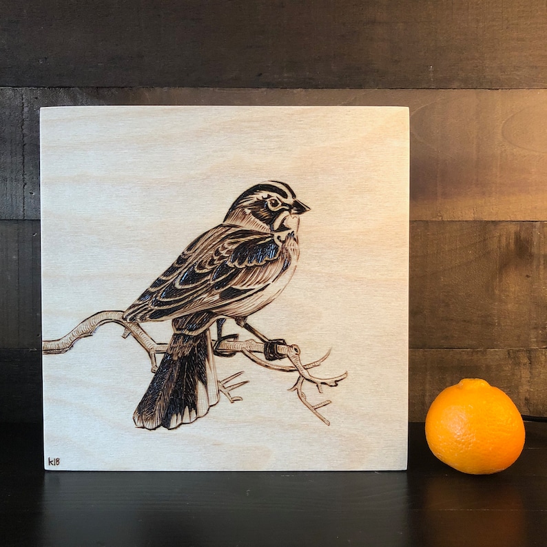 8x8 Wood-burned Lark Sparrow Bird Art on Wood Rustic Bird Art Gift for Birders Vintage Ornithology
