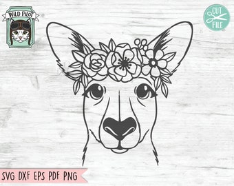 Download Kangaroo Svg Etsy
