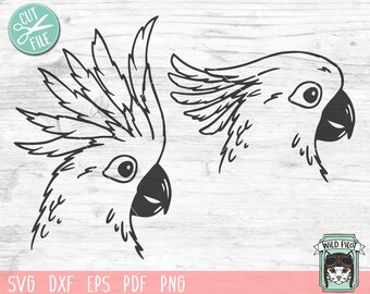 Download Australia Animal Svg Etsy