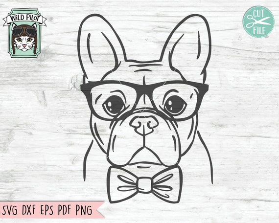 Frenchie with cheap glasses