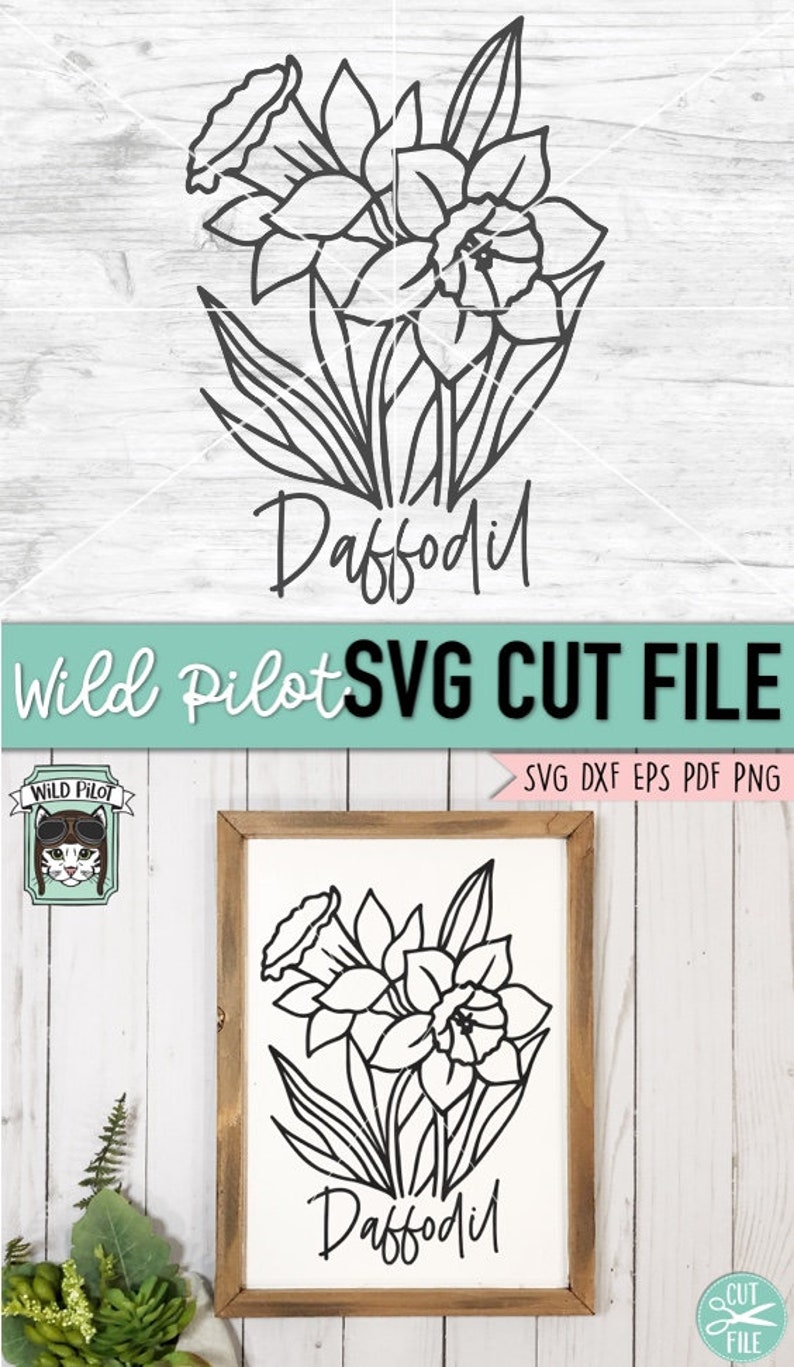 Free Free X Ray Flower Svg 701 SVG PNG EPS DXF File