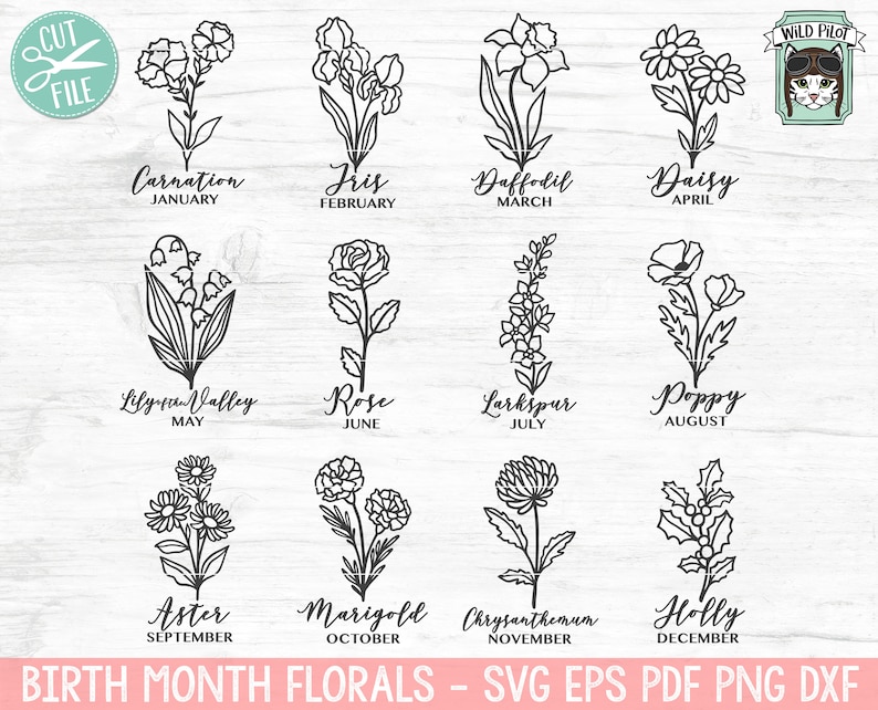 May include: A black and white illustration of 12 different flowers, each representing a different month of the year. The flowers are labeled with their names and the corresponding month. The image includes carnation, iris, daffodil, daisy, lily of the valley, rose, larkspur, poppy, aster, marigold, chrysanthemum, and holly.