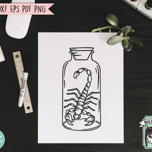 May include: A black and white line drawing of a scorpion inside a glass jar. The jar has a cork lid and is sitting on a white background.