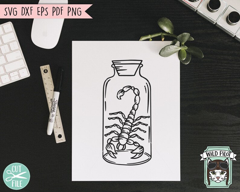 May include: A black and white line drawing of a scorpion inside a glass jar. The jar has a cork lid and is sitting on a white background.