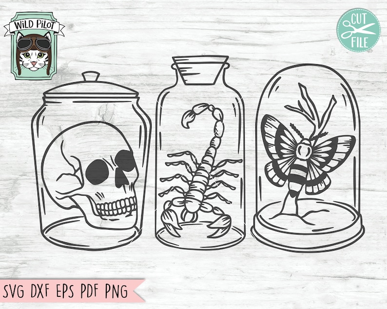 May include: Three glass jars with lids, each containing a different specimen. The first jar contains a human skull, the second jar contains a scorpion, and the third jar contains a butterfly.