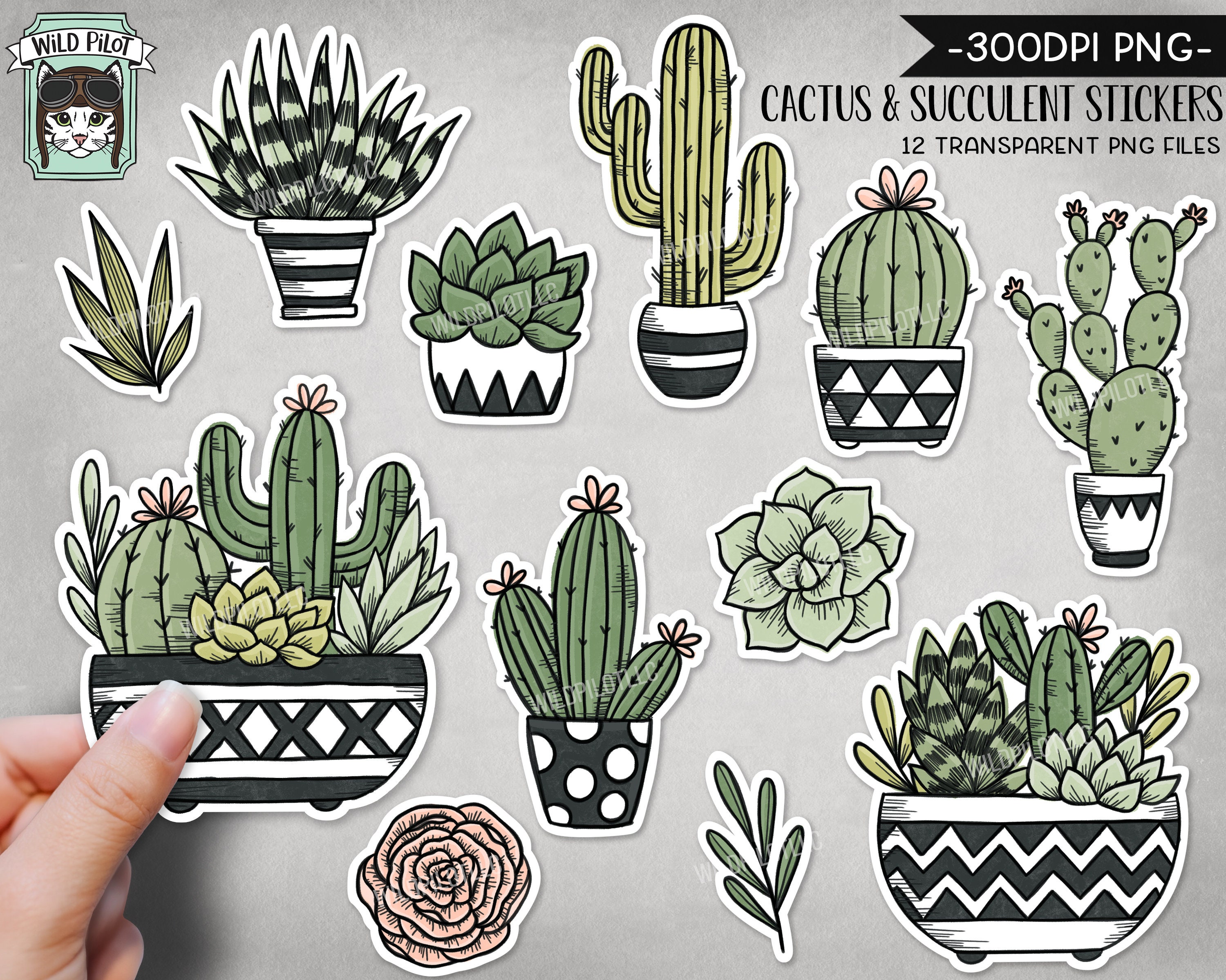 Cactus Collection Vector Design Images, Aesthetic Cactus Sticker  Collection, Aesthetic, Cactus, Sticker PNG Image For Free Download