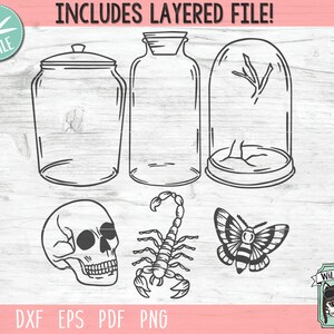 May include: A set of five black and white line art illustrations of a skull, a scorpion, a butterfly, a jar with a lid, and a jar with a lid and a dome top. The illustrations are on a pink and white background with the text "INCLUDES LAYERED FILE!" at the top and "SVG DXF EPS PDF PNG" at the bottom.